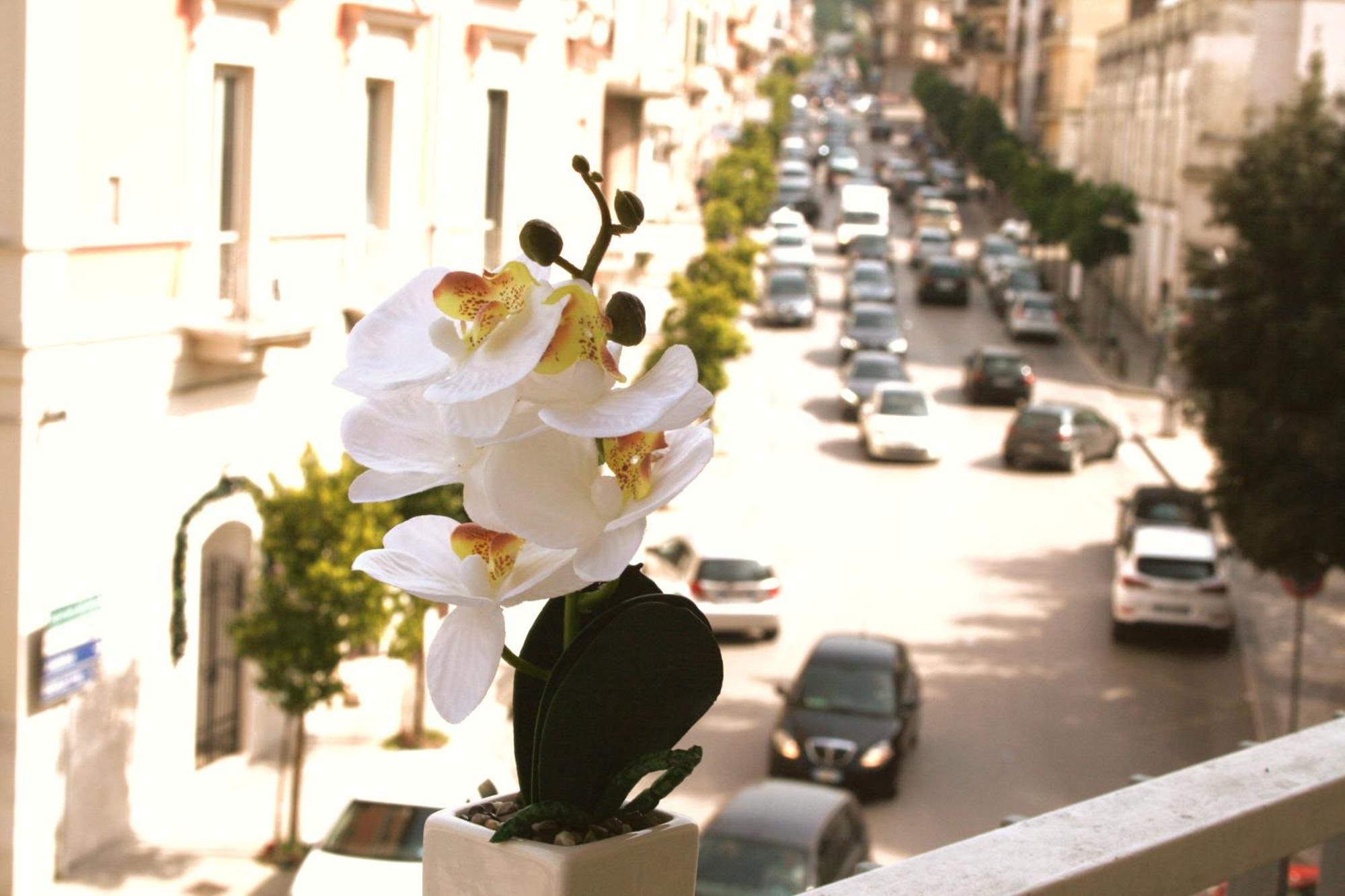 Dimore Demetra Canosa di Puglia Bagian luar foto